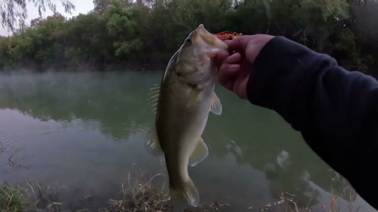 Fishing Cresent Bend (Upstream) #bassfishing #creekfishing