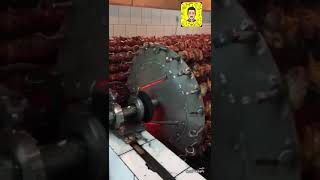 أكبر شواية دجاج في السعودية - بطاقة استيعابية 2250 دجاجة  على الفحم مطعم النيلين البخاري....