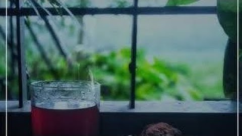 chayapattu //lyrics video