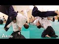 Aikido - Change infinitely with soft body control (Irimi Nage) Shirakawa Ryuji shihan