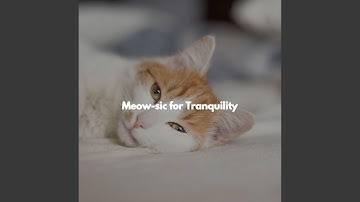 Beautiful Backdrops for Open Work Space