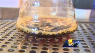FDA weighs in on caffeinated products, effects on people
