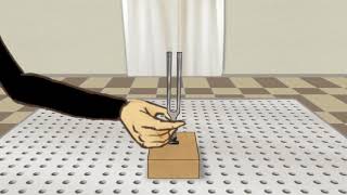 Visualization of sound waves (U2-02-02)