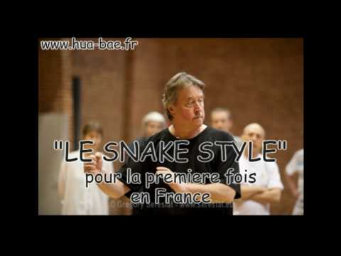 Robert Boyd enseignera le Snake Style en France