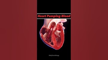 HEART ANIMATION !! #heart #anatomy #animation #bloodcirculation #cardiology #shorts