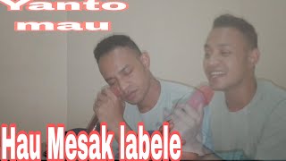 Hau Mesak Labele (Gunda) Cover  versi karaoke - Yanto mau