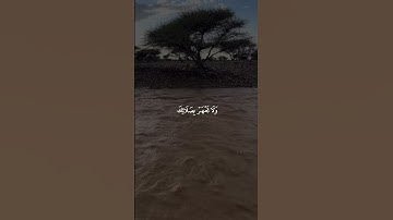 قل ادعوا الله | ما تيسر من سورة الإسراء بصوت القارئ علي جابر