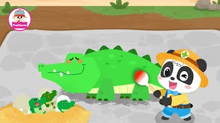 Đội Cứu Hộ Động Vật Của Gấu Trúc Kiki - Giải Cứu Gia Đình Cá Sấu screenshot 4