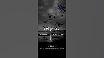 سوره نحل آیه 79 چیزی جز الله آنها را در هوا نگه نمی دارد #قرآن #اسلام #قرائت قرآن