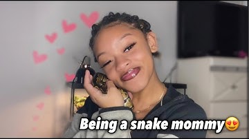 I IMPULSIVELY BOUGHT A BALL PYTHON!!| MY EXPERIENCE OWNING MY FIRST SNAKE |ItsMikaylaJanaa