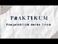 PRAKTIKUM - Pengambilan Darah Vena