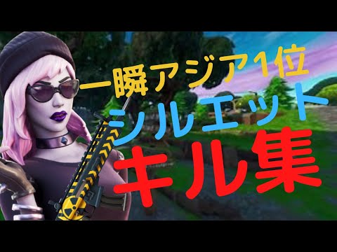 【シルエット】一瞬アジア1位のキル集！！【フォートナイト】