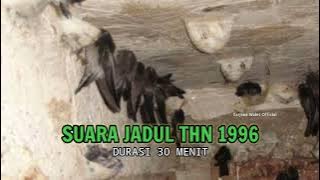Suara walet tahun 1996