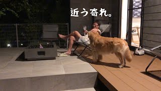 阿蘇の別荘で愛犬と殿様気分を味わう。ゴールデンレトリバーベンツ。