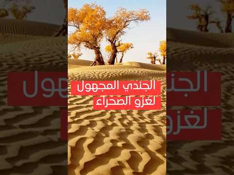 الجندي المجهول الذي له الفضل في تحول الصحاري المصري إلى جنات خضراء طاقة شمسية  طلمبات