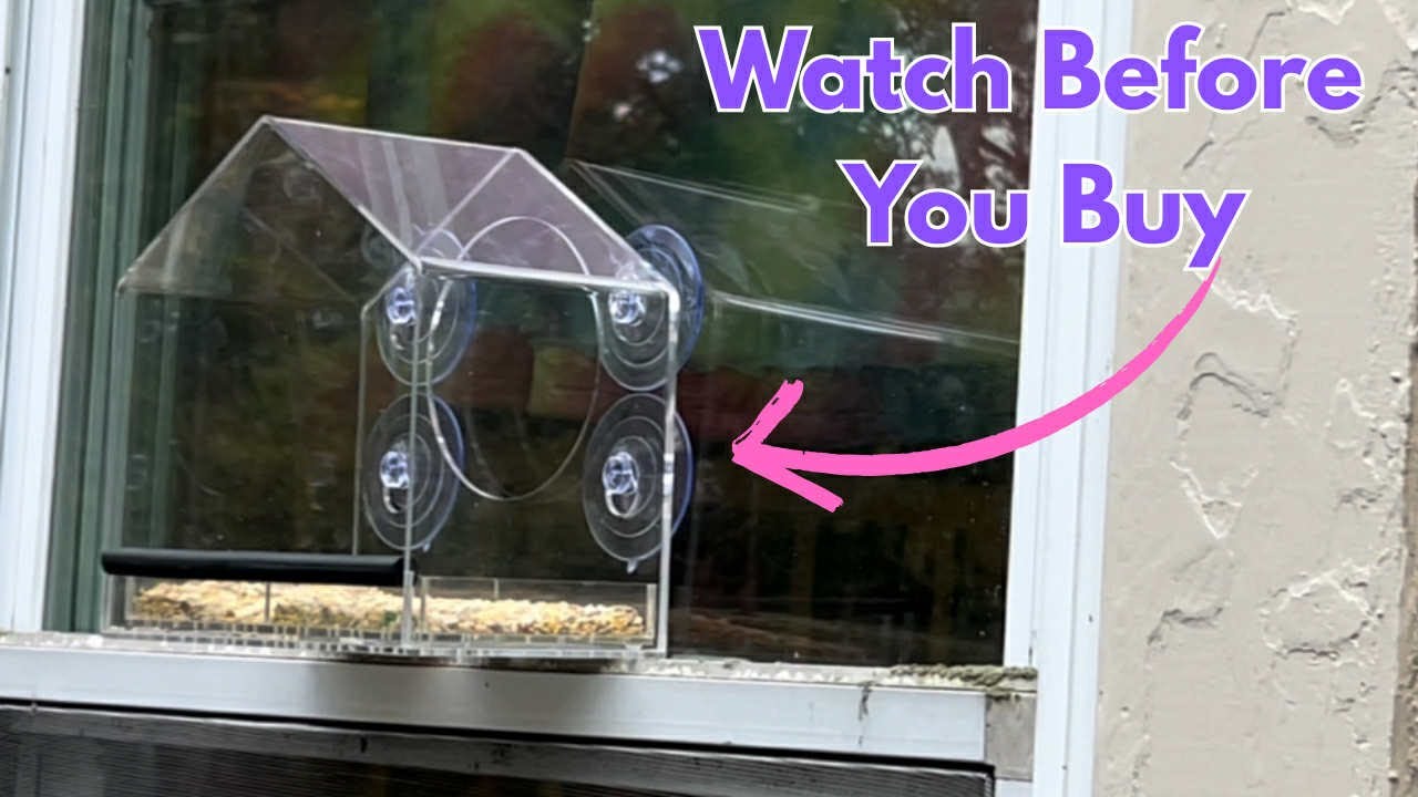 No Yard Needed! Window Bird Feeder Review for Easy Bird Watching