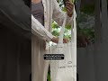 Sudah siap untuk mudik?