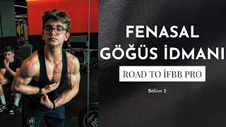 Fenasal Göğüs Antrenmani