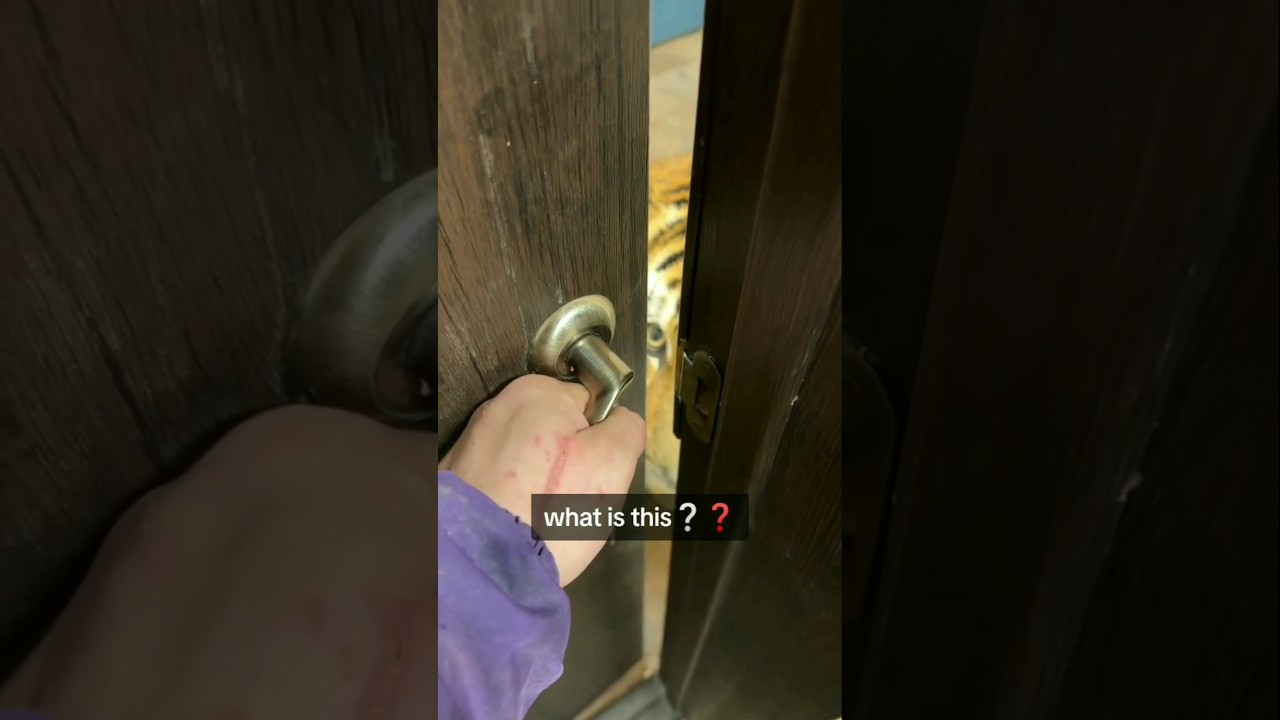 Shocked! When I opened the door, there was a tiger in front of me! 