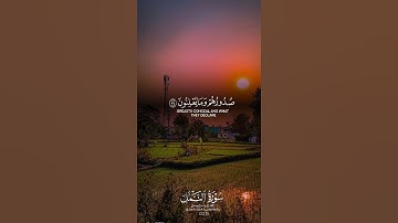 تلاوت سورة النمل telawat surah Tul Numal #quran #اكسبلور #telawat #shortvideo #viral #لايك
