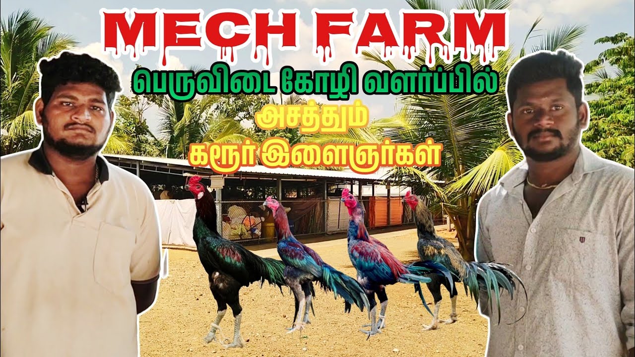 அட்வான்ஸ் ரக கட்டுத்தரை சேவல்கள் வளர்க்கும்  இன்ஜினியர்கள்| Poultry farming #hens #chicken #farming