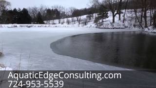 Polar Vortex and Winter Aeration in Western Pennsylvania (PA)