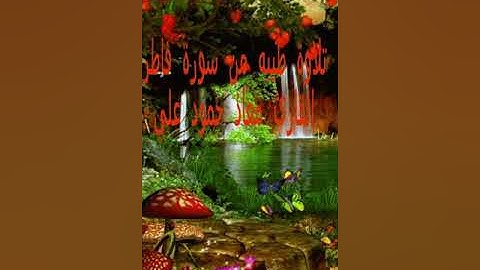 القارئ معاذ حمود علي تلاوة طيبه من سورة فاطر