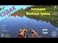 Русская рыбалка 4 - река Сура - Судак и сомики
