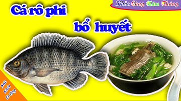 Cá rô phi | Những món ăn thuốc chữa trẻ em chậm lớn - Phụ nữ ít sữa và thiếu máu từ cá rô phi
