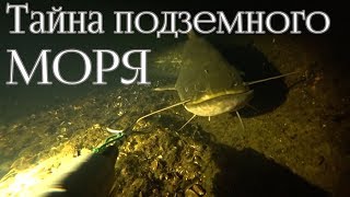 Подводный Охотник-Диггер или Массаж для Сомов | Spearfishing of Russia
