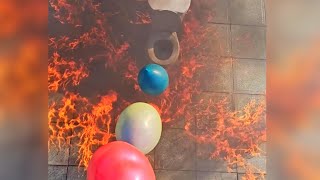 🎈Breaking Glass Bottles and Balloon Drops! Crushing Crunchy & Soft Things!🔥