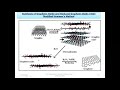 Graphene  synthesis by Hummers method