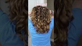 Wet to Dry Curls Transformation! #curlyhair #wavyhair #hairtransformation