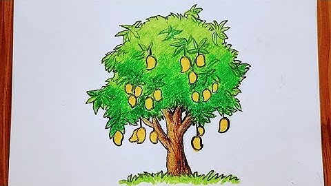 Easy mango tree drawing #easydrawing #drawing #viral #viralvideo #treedrawing #treedrawingeasy  #art