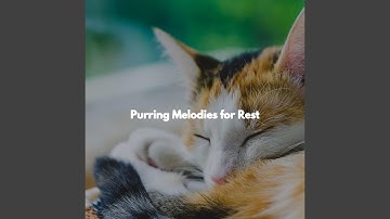 Beautiful Backdrops for Open Work Floors