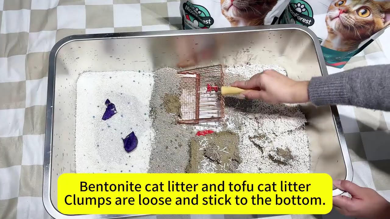 New year, new litter—ditch that dusty traditional clay litter!