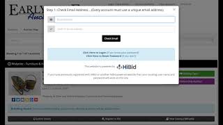 How to Bid Online