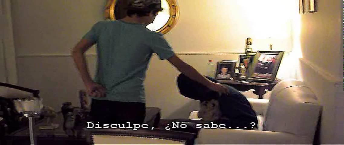 Donald videos for cats