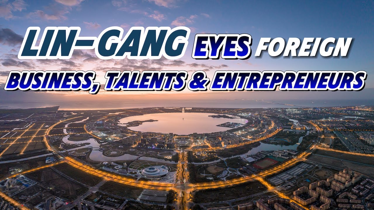 Lin-gang eyes foreign business, talents and entrepreneurs