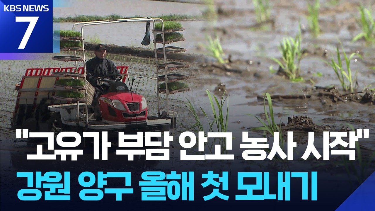 “고유가 부담 안고 농사 시작”…강원 양구 올해 첫 모내기 / KBS 2026.04.21.