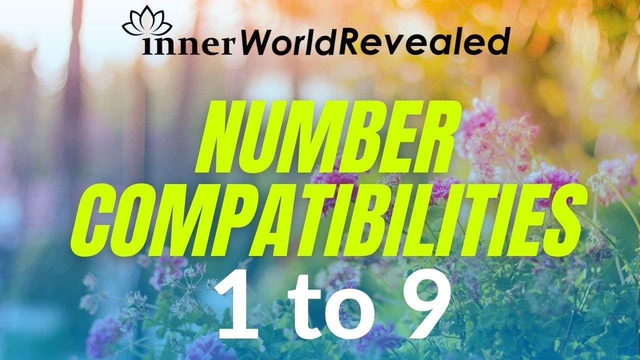 NUMBER COMPATIBILITIES 1 - 9 I Pythagorean Numerology I Aditi Ghosh I FIND COMPATIBLE NUMBERS