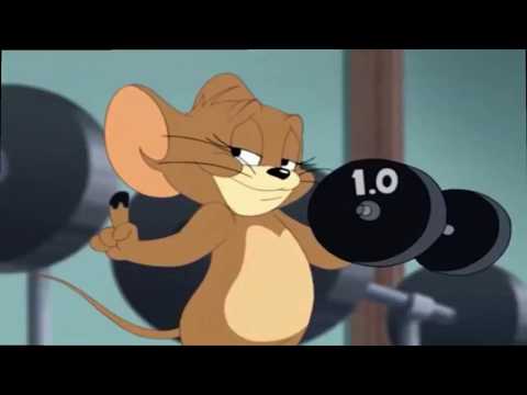 Tom i Jerry kreskówki Śmieszne kreskówki idą na siłownię