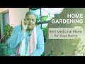 Home gardening  ep 5  best medicinal plants for your home