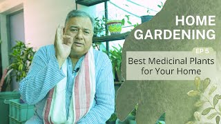 Home Gardening | Ep 5 - Best Medicinal Plants For Your Home