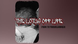 DJ THE LOTUS OFF LIFE X BBHC || 2K26