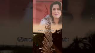 Sevgi Dışarıda Değil Resimi