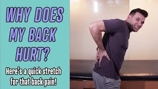 Why Does My Back Hurt? (How To Fix It)