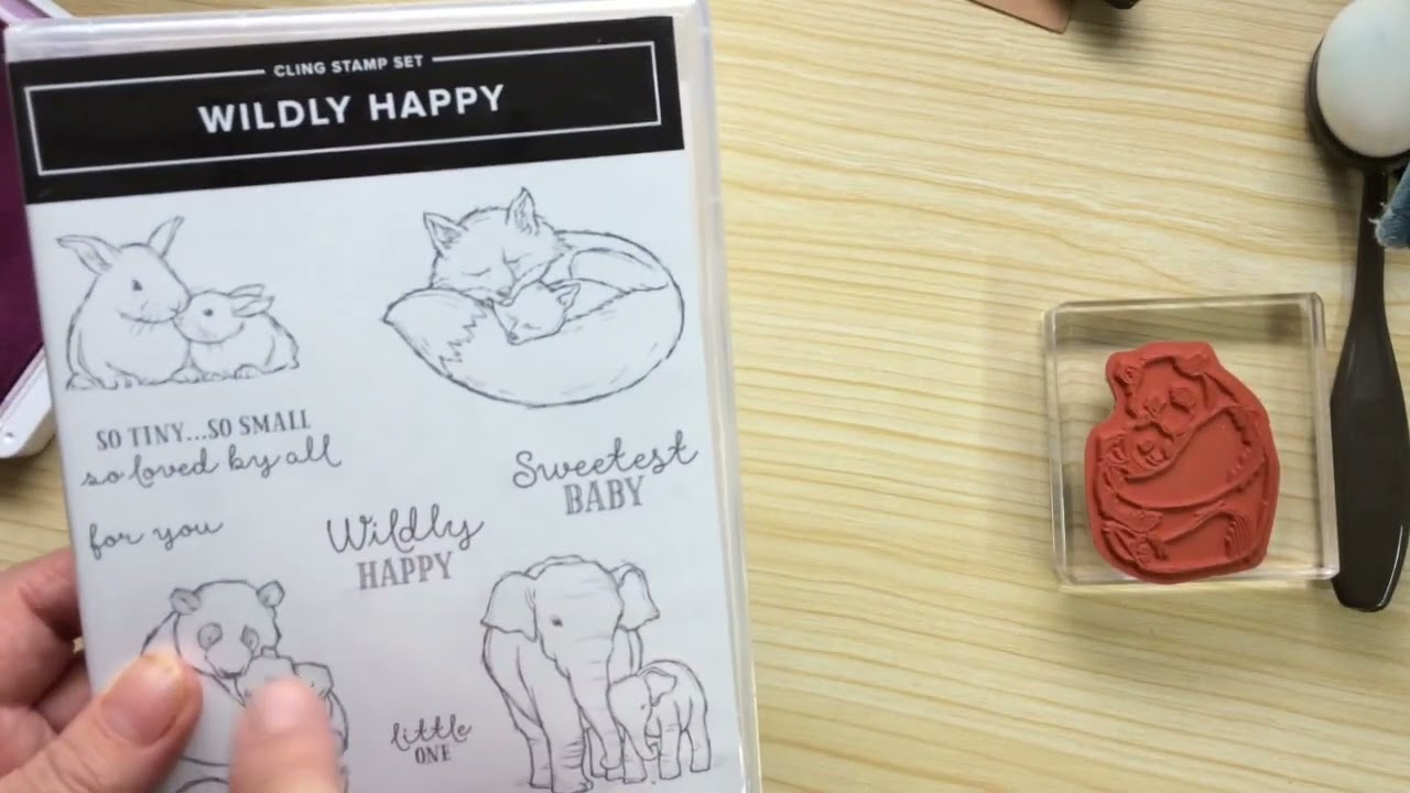 Welsh video using Wildly Happy