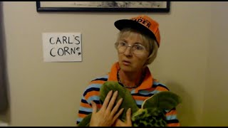 Carl Talks About Parenting screenshot 4