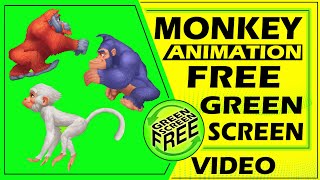 Green Screen Monkey Monkey Face Green Screen Monkey Green Screen No Copyright